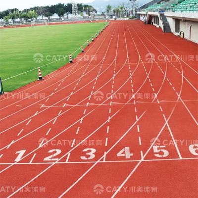 গরম বিক্রয় টেকসই এবং সবুজ অনুশীলন এলাকার জন্য পরিবেশ বান্ধব পারমিটেবল রানিং ট্র্যাক