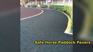 কুকুরের হাড় রাবার Pavers বার্নস এবং Paddocks